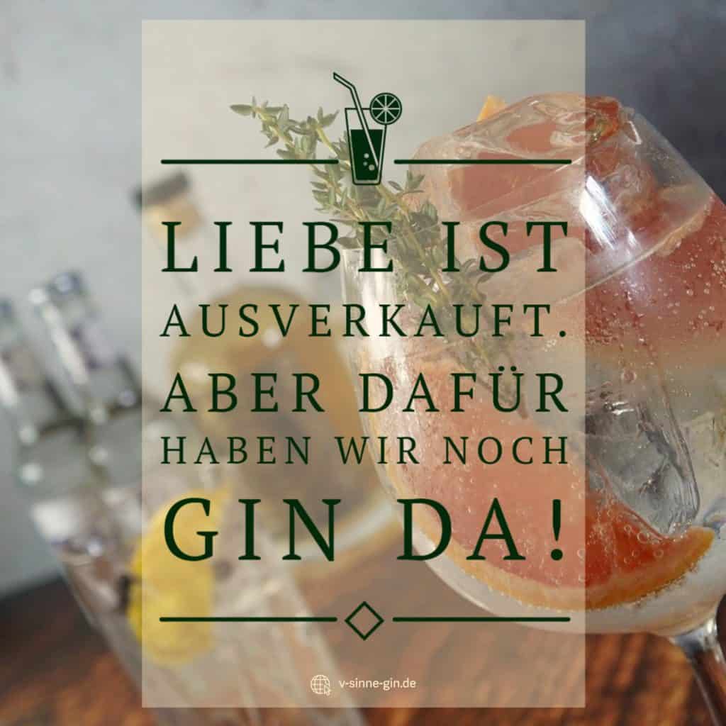 44+ Lustige sprueche ueber gin info