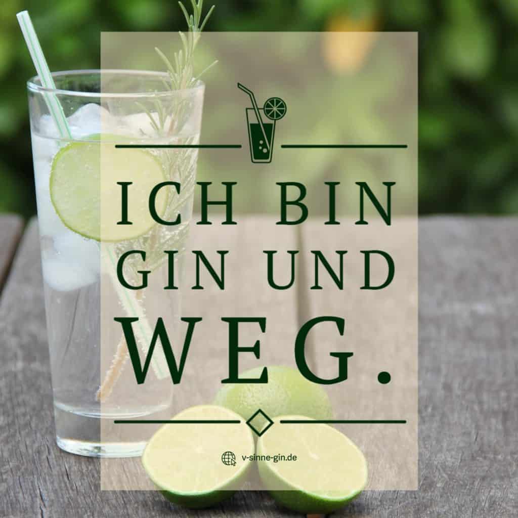 50+ Elternabend sprueche , Lustige Gin Sprüche mit Bild VSINNE Schwarzwald GIn