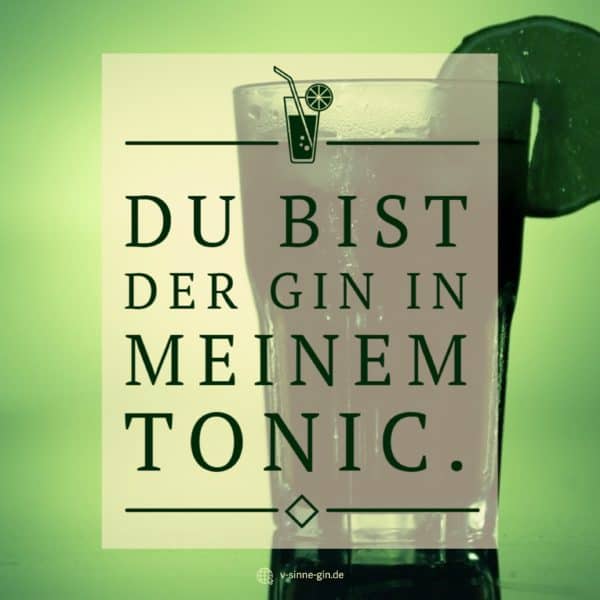 50+ Lustige gin tonic sprueche ideas