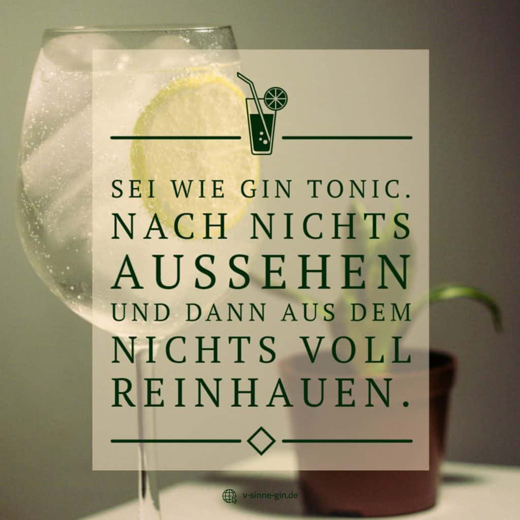 39+ Gin tonic sprueche , Lustige Gin Sprüche mit Bild VSINNE Schwarzwald GIn
